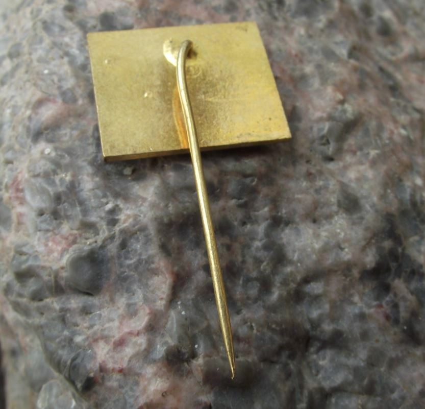 1976 Svazarm Czech Army Reserve 25th Anniversary Military Paramilitary Pin Badge - Badgecrazy