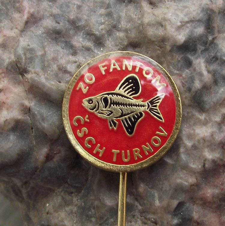 Antique Aquarium Tropical Fish Black Phantom Tetra Club Turnov Pin Badge - Badgecrazy