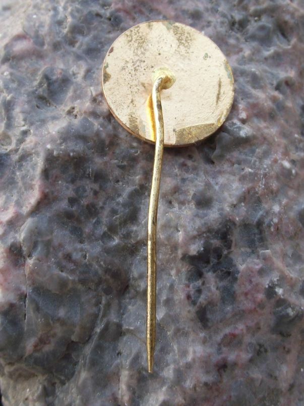 Vintage Coventry City FC Football Club CCFC Supporter Soccer Crest Pin Badge - Badgecrazy