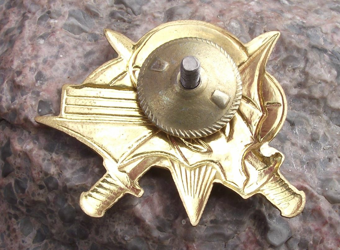 Russia Parachute Regiment Parachutist Army Military Crossed Swords Bat Pin Badge - Badgecrazy