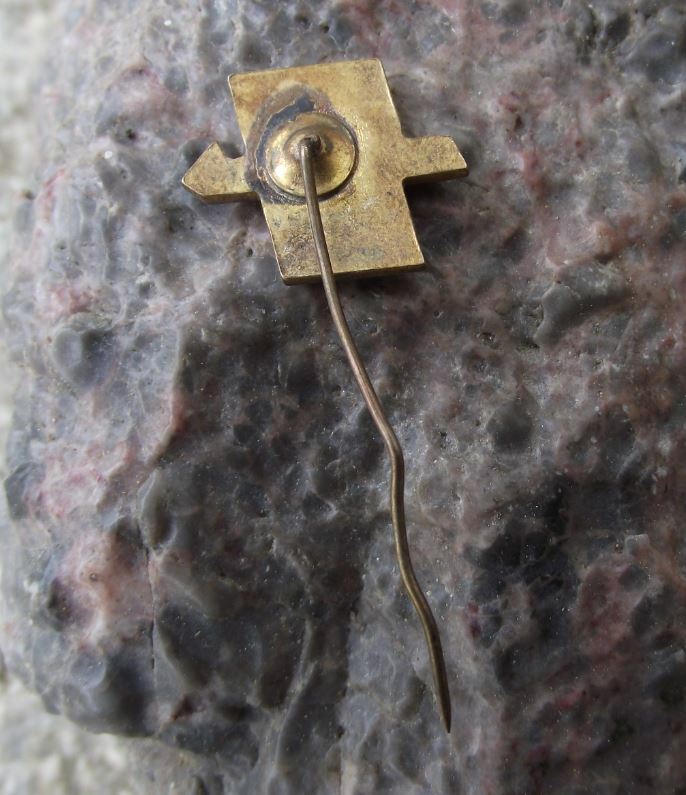 Vintage Poland Polish ZMS Trade Union of Socialist Revolutionary Youth Pin Badge - Badgecrazy