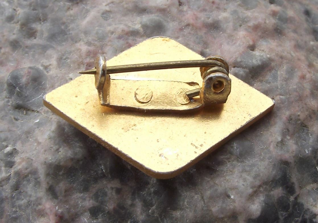 For Outstanding Collection of Medicinal Herbs Czech Herbalist Award Pin Badge - Badgecrazy