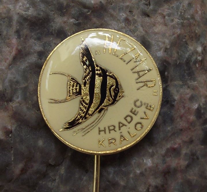 Angelfish Aquarium Tropical Fish Club Czechoslovakia Pterophyllum Pin Badge