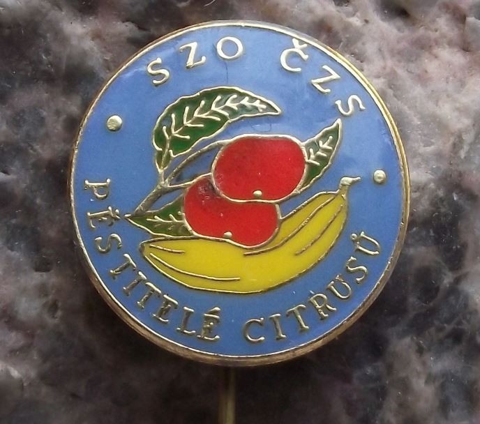 Czech Horticultural Society Club Exotic Orange Banana Fruit Tree Pin Badge - Badgecrazy