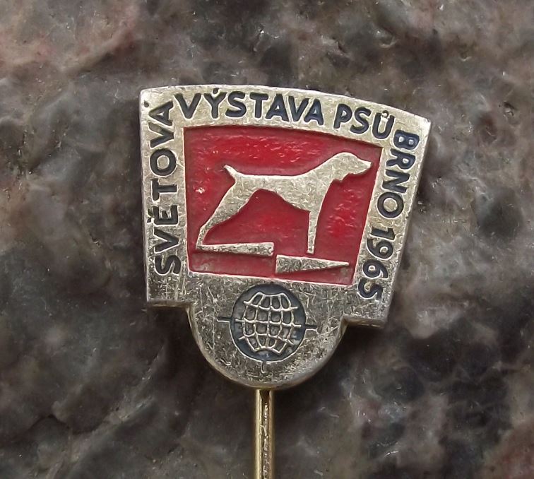 1965 International Dog Breeders Club Show Event Brno Pointer Breed Pin Badge - Badgecrazy