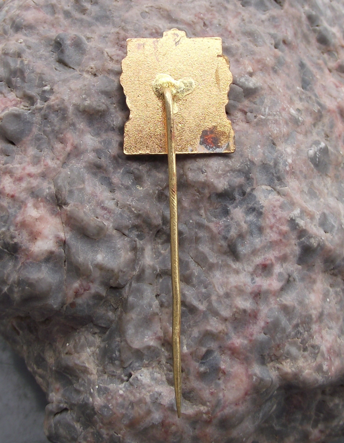 Vintage Mikulov 1173 Grape Vineyard Region Czechoslovakia Souvenier Pin Badge - Badgecrazy