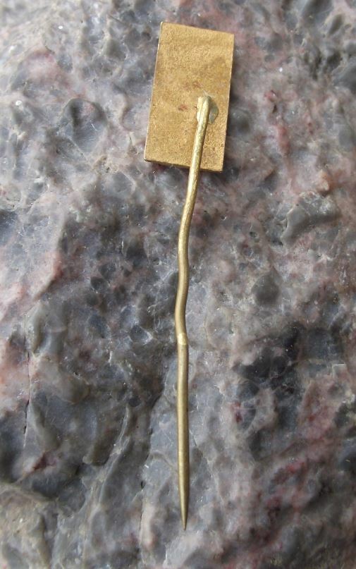 Vintage Pernstejn Bernstein Czech Moravian Castle Tourist Souvenier Pin Badge - Badgecrazy