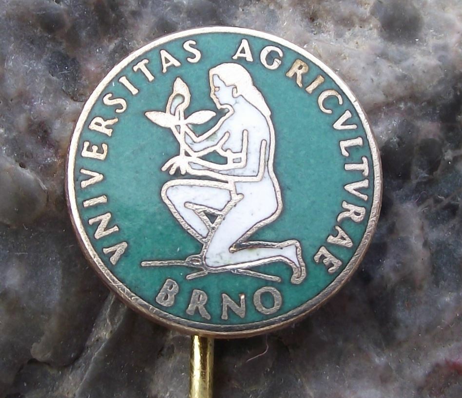 Antique University of Agriculture Brno Mendel Mother Earth Woman Plant Pin Badge - Badgecrazy