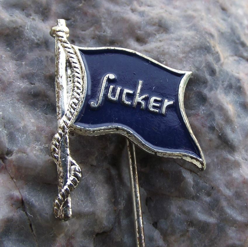 Vintage Gebruder Sucker GmbH German Engineering Company Germany Flag Pin Badge - Badgecrazy