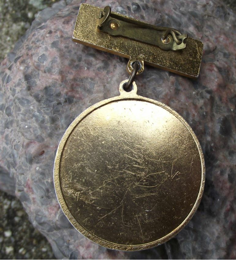 Antique Hungary Young Communist League Ifjusagi Youth Excellence Medal Pin Badge - Badgecrazy