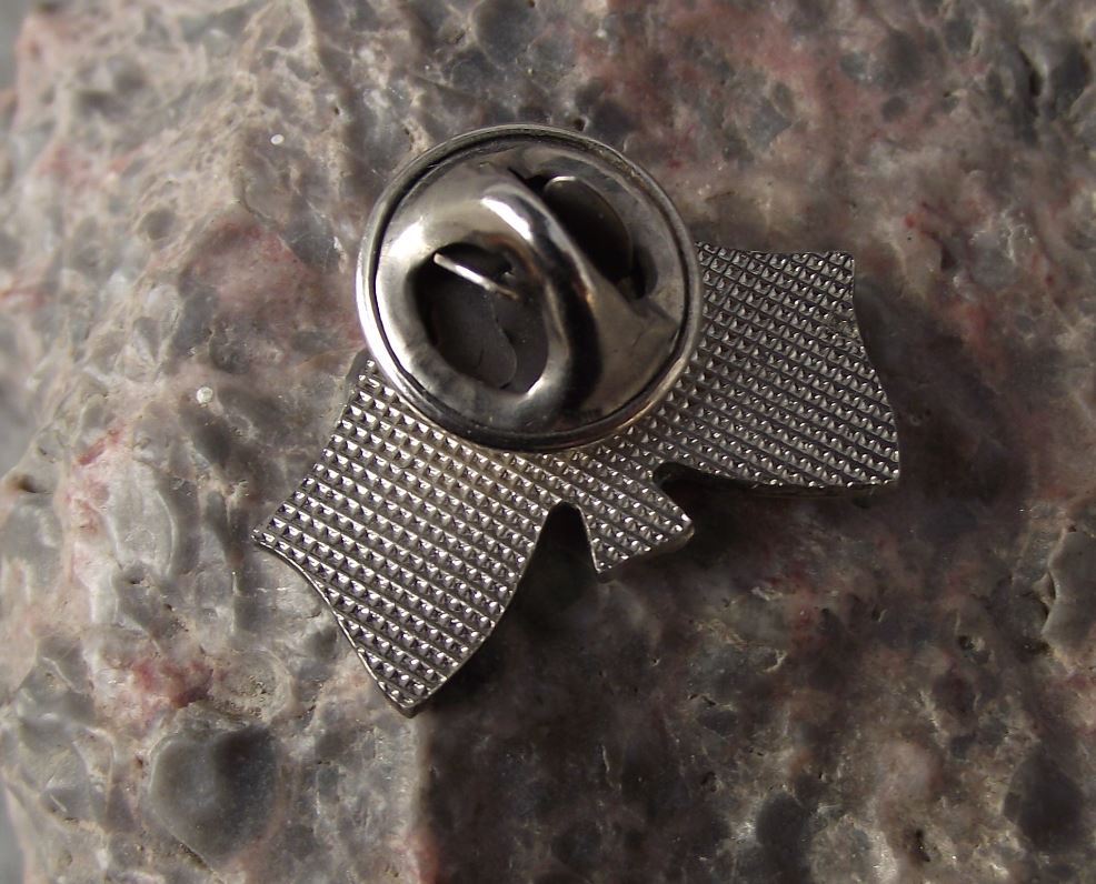 1997 Czech Republic Joins NATO Military Defense Crossed Flags Emblem Pin Badge - Badgecrazy