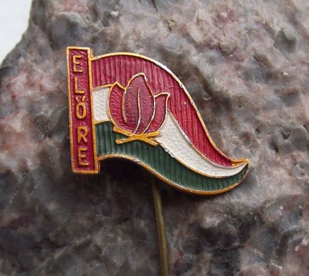 Antique Elore Forward Slogan Hungarian Young Pioneer Movement Scouting Pin Badge - Badgecrazy