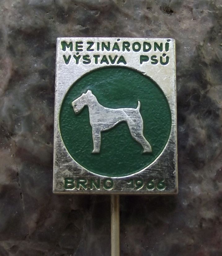 1966 International Dog Breeders Club Show Event Brno Schnauzer Breed Pin Badge - Badgecrazy
