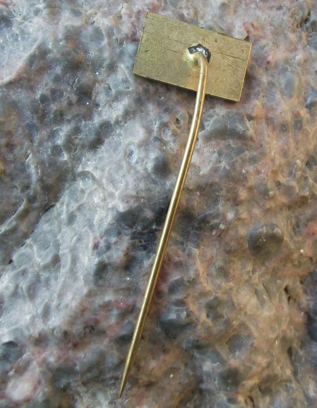 Antique Bratislava Czechoslovakia Brewery Beer Lager Castle Logo Pin Badge - Badgecrazy