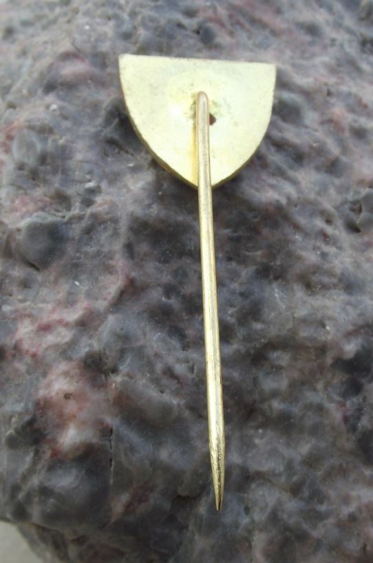 Antique Banovce nad Bebravou Heraldic Crest Town Slovakia Coat of Arms Pin Badge - Badgecrazy