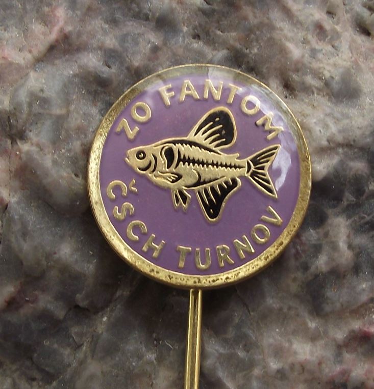 Antique Aquarium Tropical Fish Black Phantom Tetra Club Turnov Pin Badge - Badgecrazy