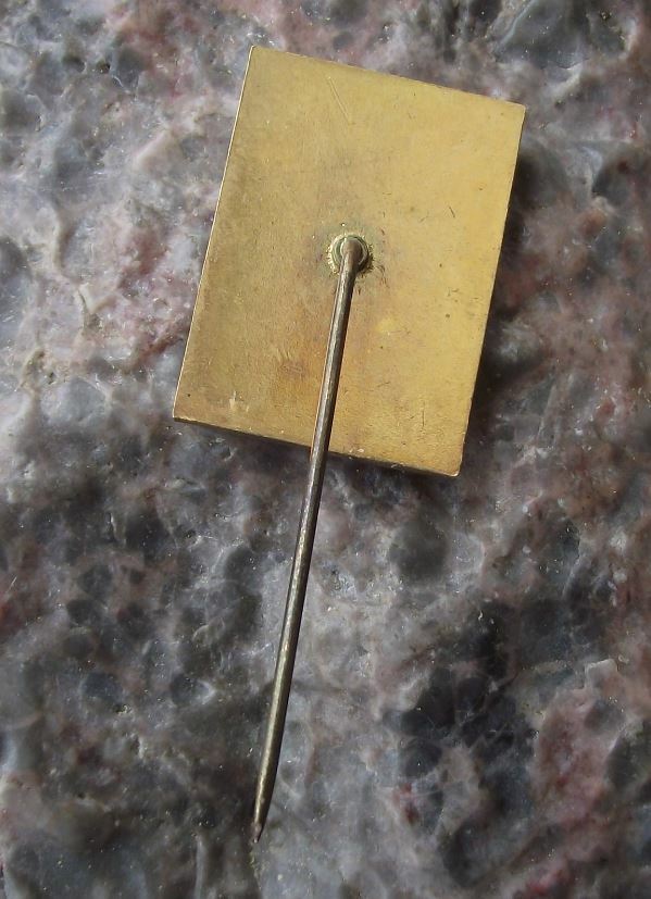 Antique Renaissance Castle Breznice Palace Czech Tourist Souvenier Pin Badge - Badgecrazy