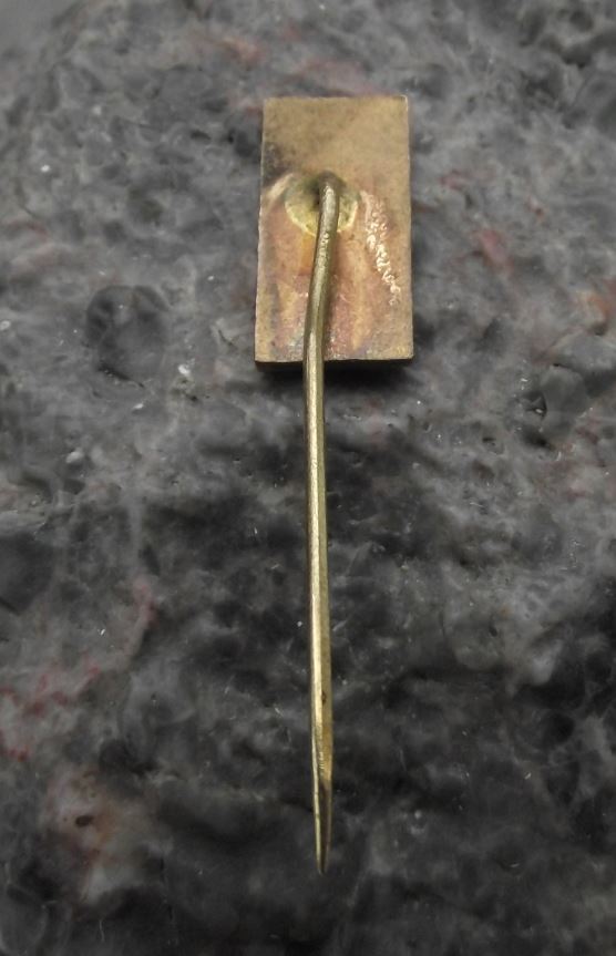 Antique Luhatschowitz Luhacovice Spa Health Resort Spring Fountain Pin Badge - Badgecrazy