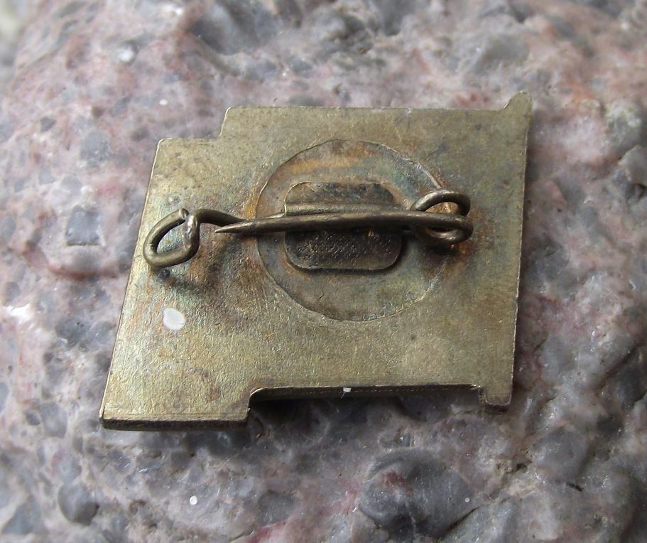 Vintage Ernst Thalmann Pioneer Organisation DDR East Germany Blue Flag Pin Badge - Badgecrazy