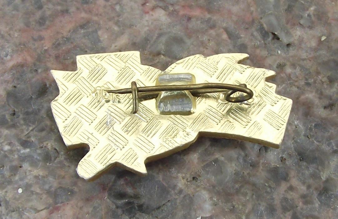 Vintage Leningrad Saint Petersburg Soviet Union WW2 Hero City Award Pin Badge - Badgecrazy