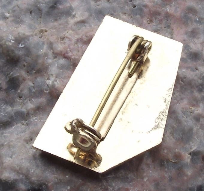 1984 Big League Canadian Championship Calgary Canada World Series Pin Badge - Badgecrazy