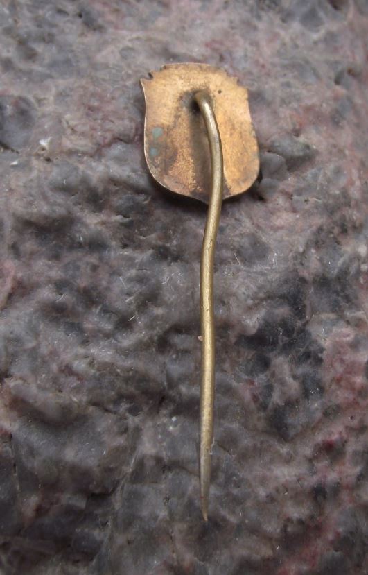 Antique Usti nad Labem Lion Helmet Heraldic Crest Coat of Arms Pin Badge - Badgecrazy
