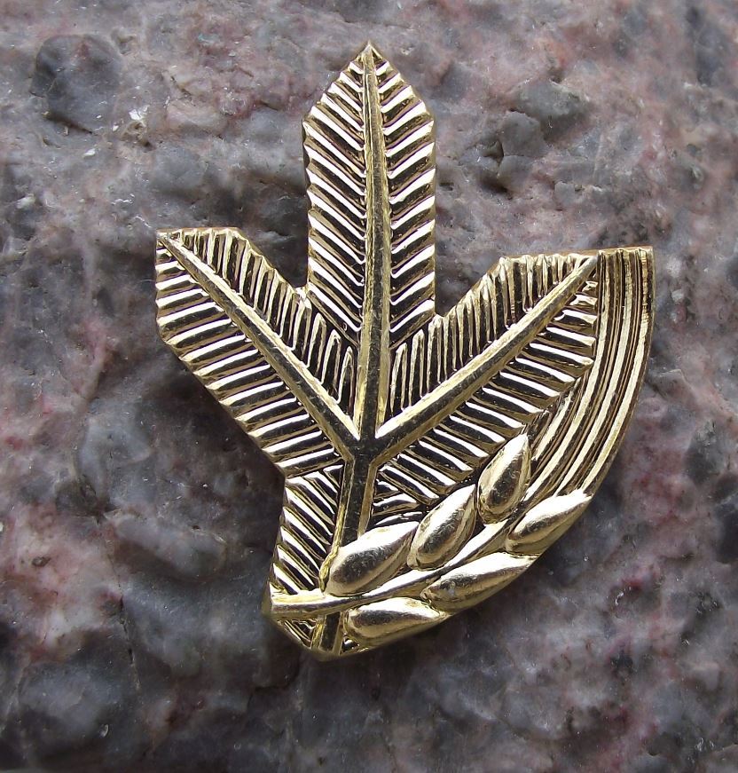 Antique CMS Czech Hunting Association Hunters Jacket Pine Emblem Clothes Badge - Badgecrazy