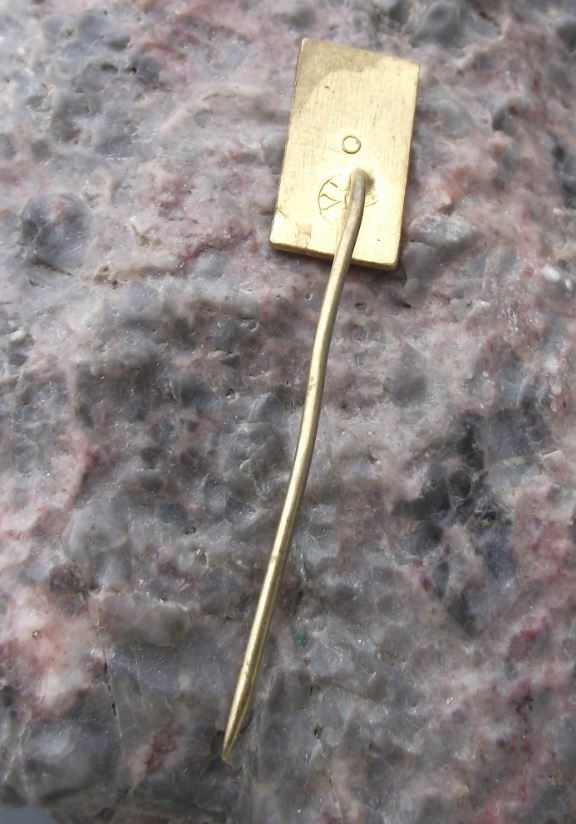 Antique Kyjov Moravia Czechoslovakia Town Hall Tourist Souvenier Pin Badge - Badgecrazy