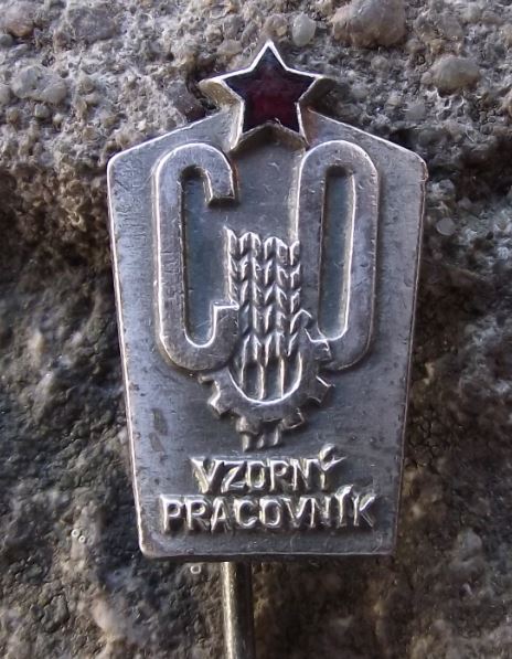 Czech Civil Defense Defence Cold War Excellent Worker Communist Award Pin Badge - Badgecrazy