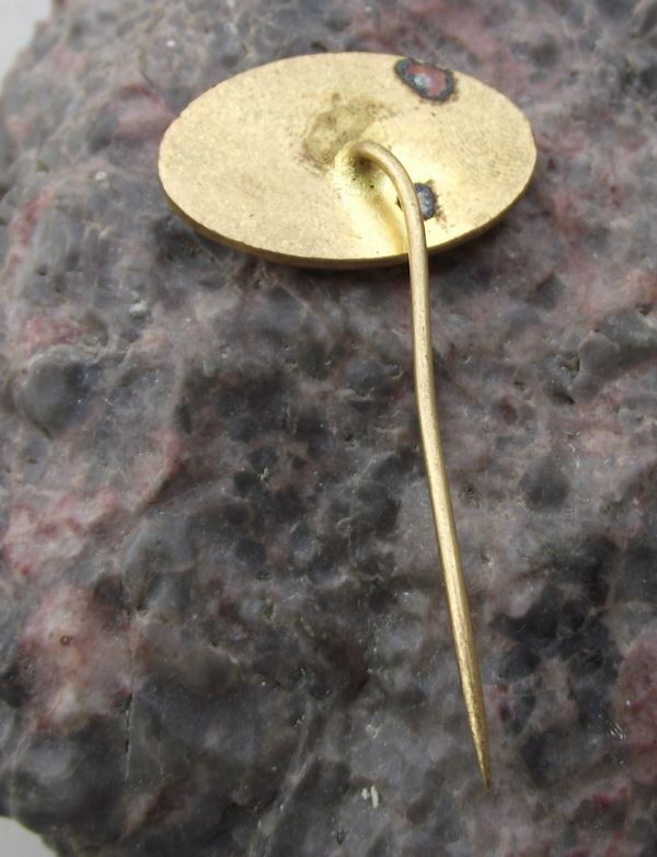 Antique SSM VSE Praha Economics High School University College Prague Pin Badge - Badgecrazy