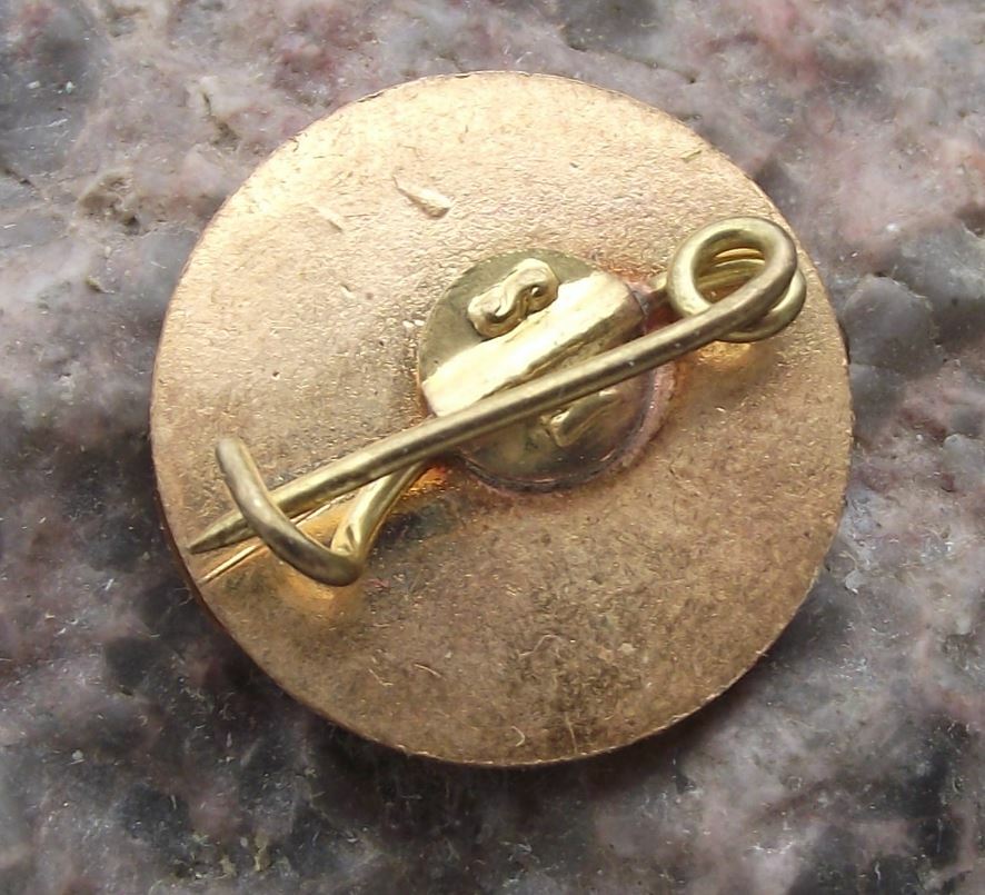 Antique CS Luceafarul Bucharest Romania Romanian Soccer Football Club Pin Badge - Badgecrazy
