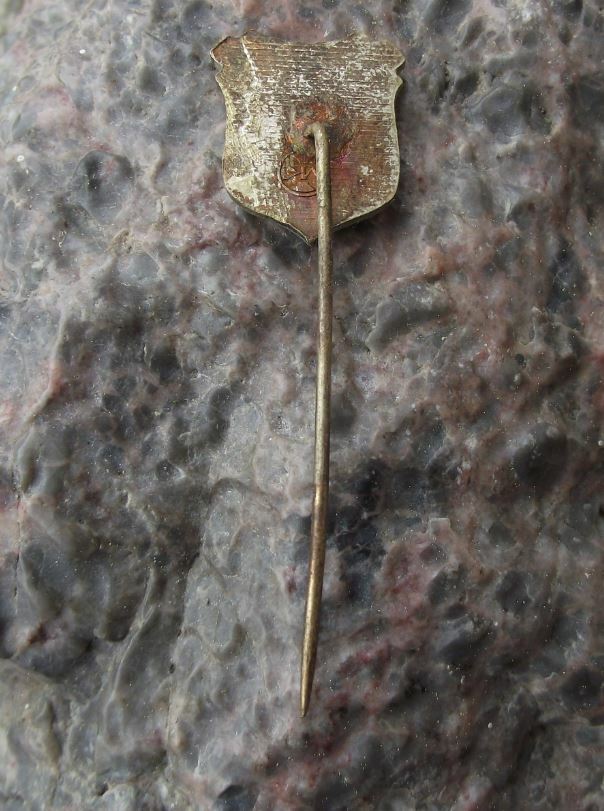 Antique Litovel Two Fish Coat of Arms Czech Town Heraldic Shield Crest Pin Badge - Badgecrazy