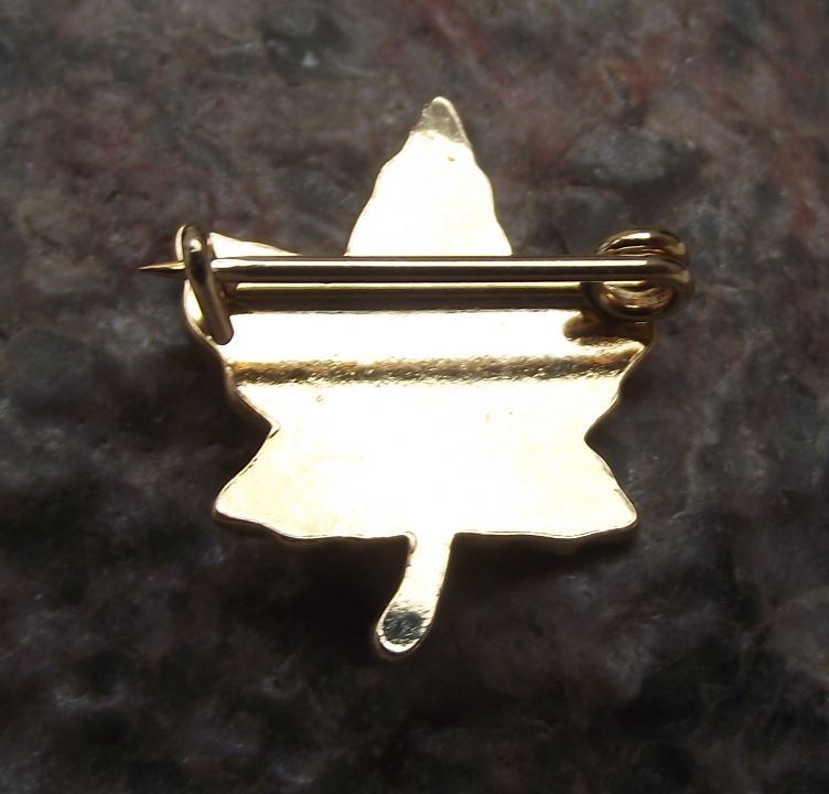 Antique Niagra Falls Canada Maple Leaf Autumn Fall Canadian Waterfall Pin Badge - Badgecrazy