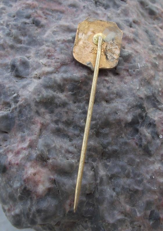 Antique Boskovice Czechoslovakia Coat of Arms Heraldic Crest Pin Badge - Badgecrazy