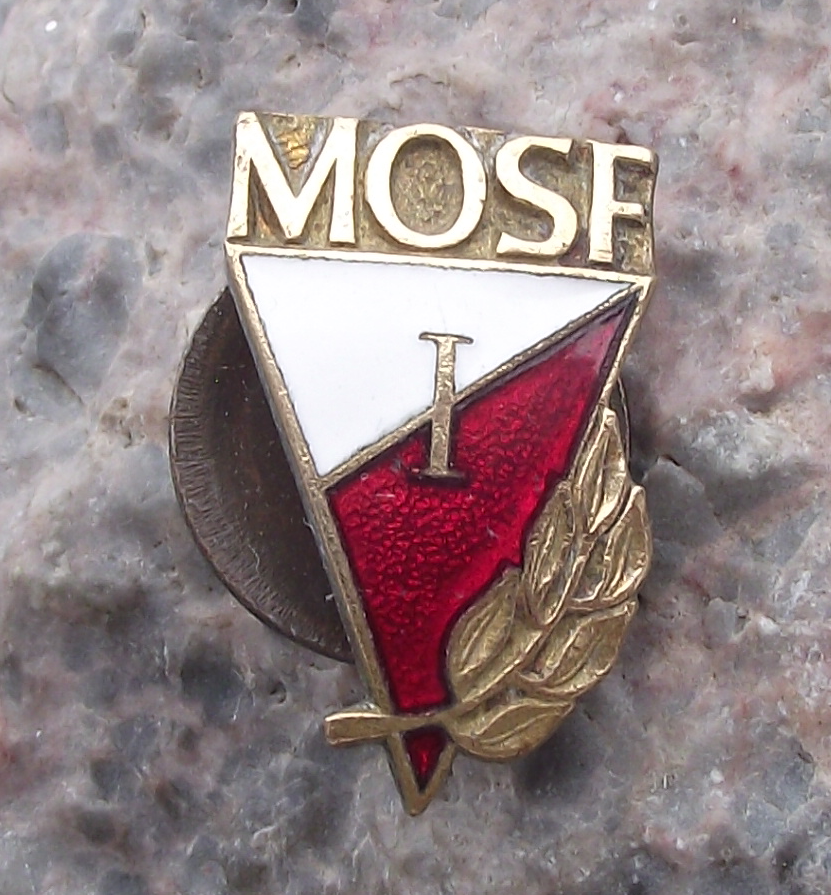 Vintage MOSF Grade 1 Award Polish Military Army Reserve Uniform Poland Pin Badge - Badgecrazy