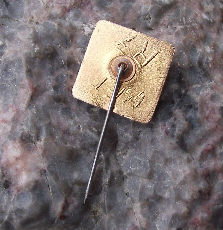 Vintage Katowice Polish City Poland Heraldic Crest Coat of Arms Pin Badge - Badgecrazy