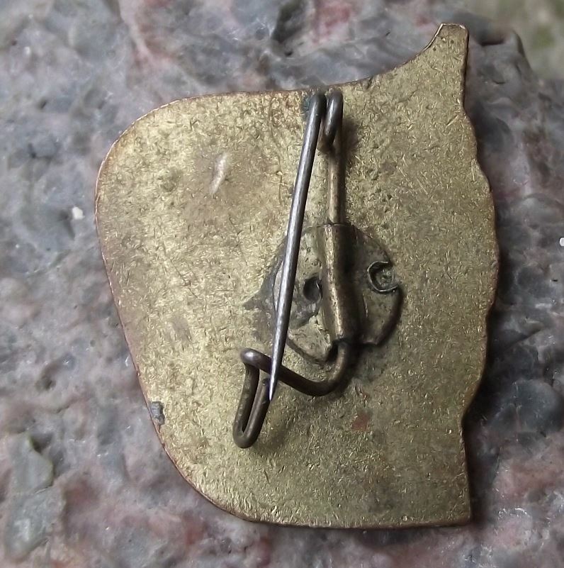 Vintage Thalmann Pioneer Youth Movement Young Tourist Camping Tent DDR Pin Badge - Badgecrazy