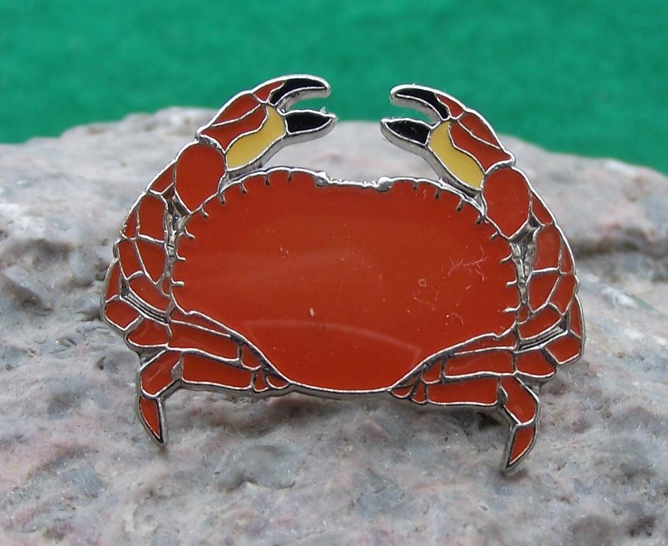 Brown Crab Seaside Rock Shore Crustacean Wildlife Brooch Pin Badge - Badgecrazy