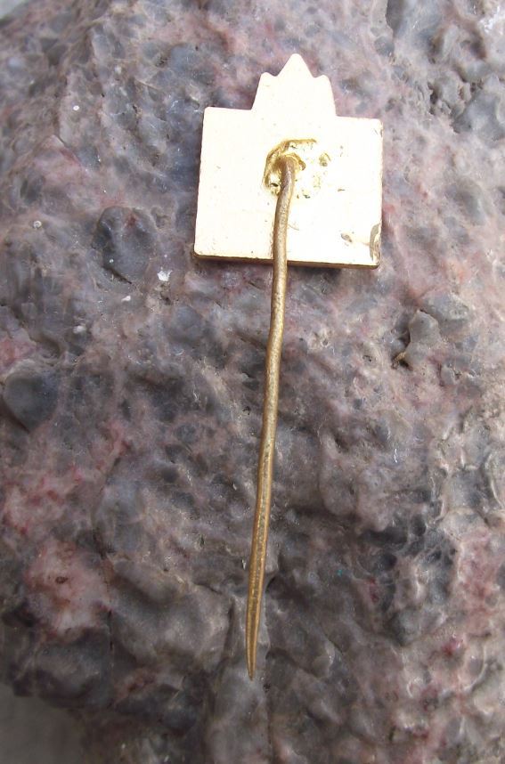 Antique Brtnice Czechoslovakia Baroque Bridge Town Hall Souvenier Pin Badge - Badgecrazy