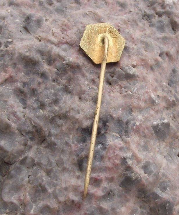 Vintage CSSV CSV Czech Honey Bee Keeping Association Club Apiary Pin Badge - Badgecrazy