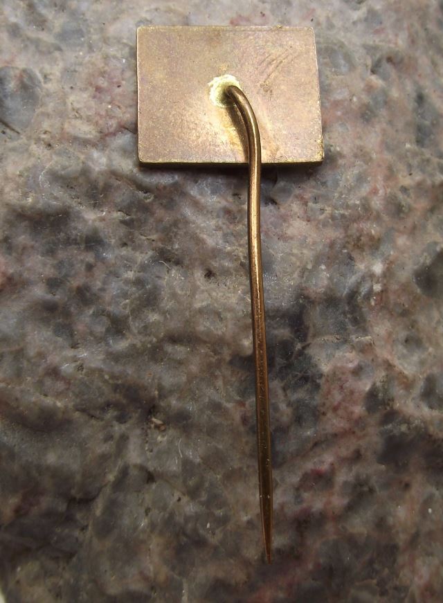 Antique Czech National Theatre Prague Narodni Divadlo Souvenier Pin Badge - Badgecrazy