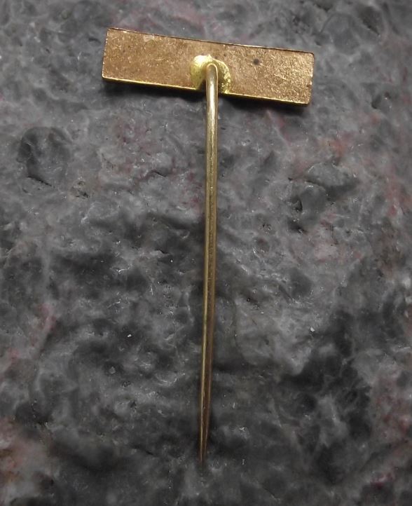 Vintage Aerotaxi Cuban State Owned Charter Airline Caribbean Aircraft Pin Badge - Badgecrazy