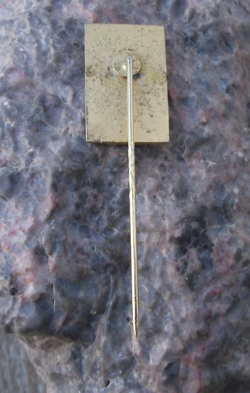 1980 Baden Shooting German Defence Association Club Champion Gold Pin Badge - Badgecrazy