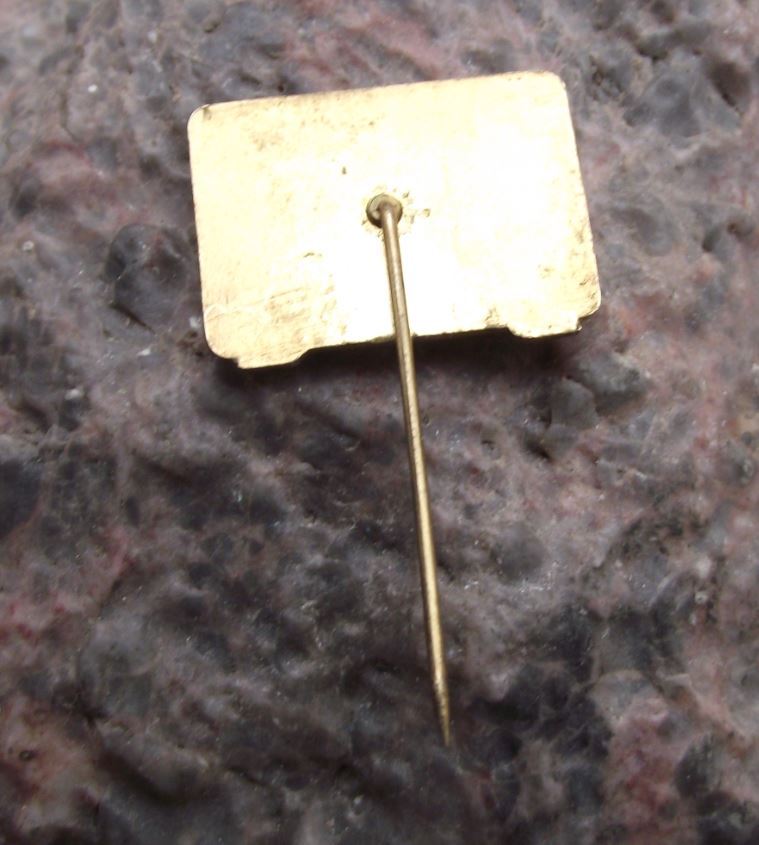 Antique Electronics University College Lipnik Czech Television TV Pin Badge - Badgecrazy