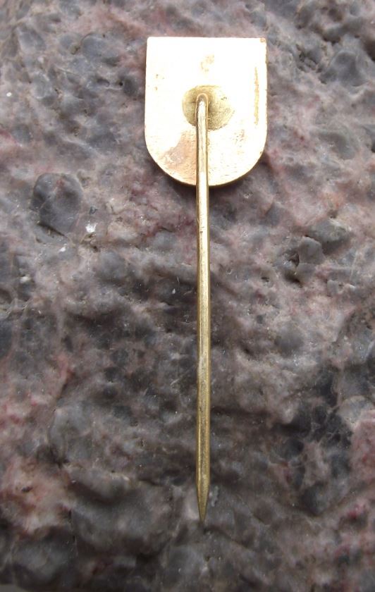 Antique Brtnice Czechoslovakia Official Coat of Arms Heraldic Crest Pin Badge - Badgecrazy