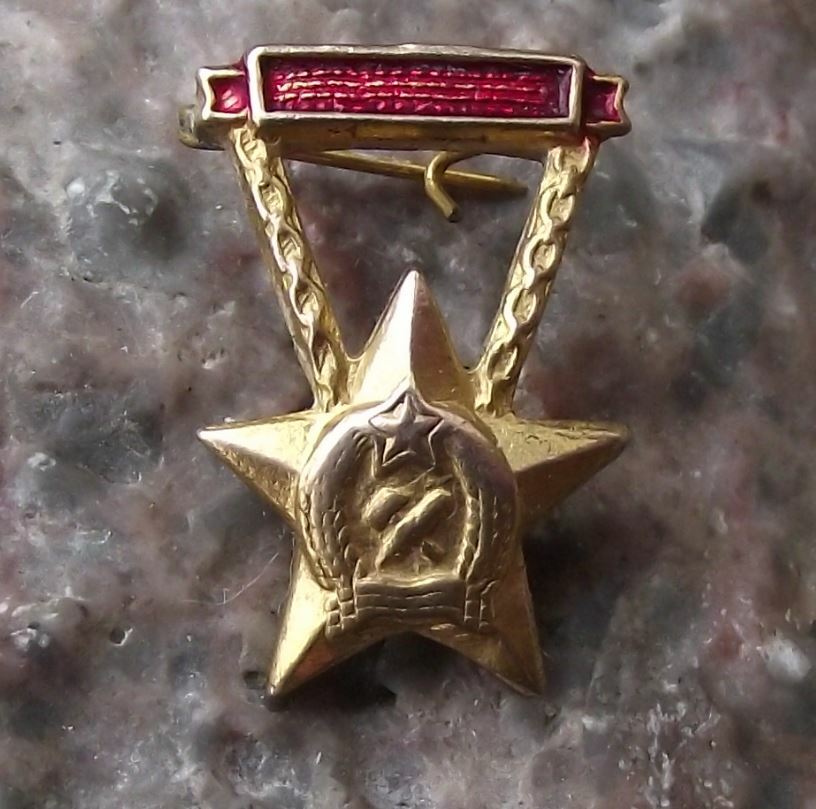 Antique Hungary Communist Coat of Arms Heraldic Crest Wheat Hammer Pin Badge - Badgecrazy