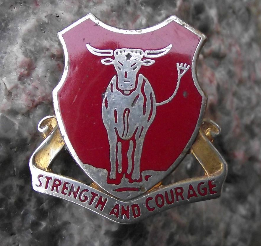 Vintage US Army 82nd Engineer DUI Strength and Courage Clutchback Pin Badge - Badgecrazy
