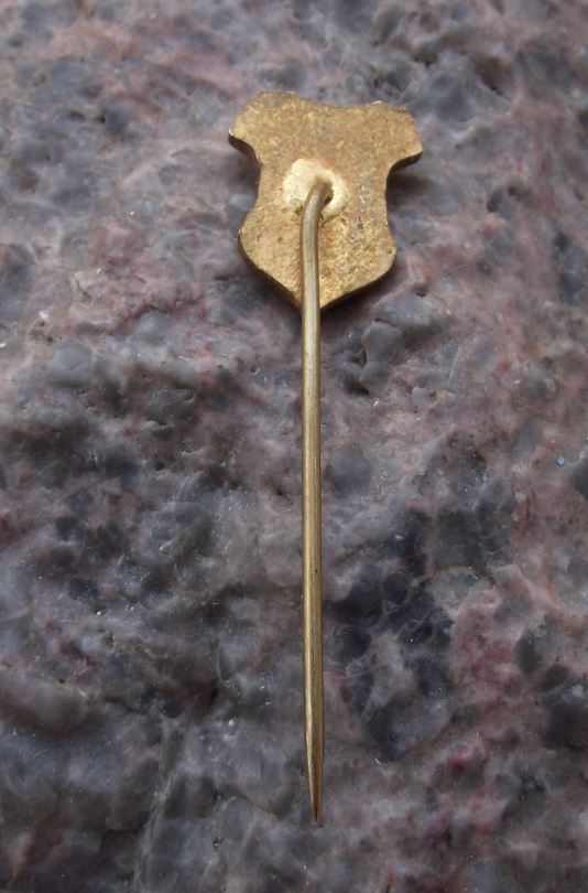 1967 Kraliky Grulich Coat of Arms 600th Anniversary Heraldic Crest Pin Badge - Badgecrazy