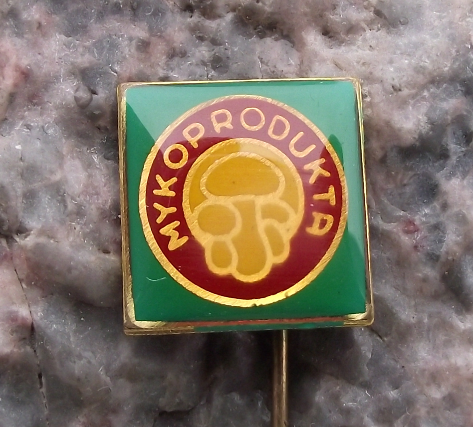 Cluster of Edible Bolete Mushrooms Fungus Mycologist Mykoprodukta Pin Badge - Badgecrazy