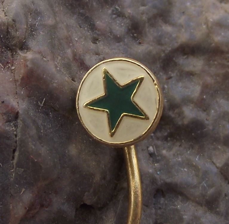 Discrete Esperanto Language Association Green Star Club Members Pin Badge - Badgecrazy